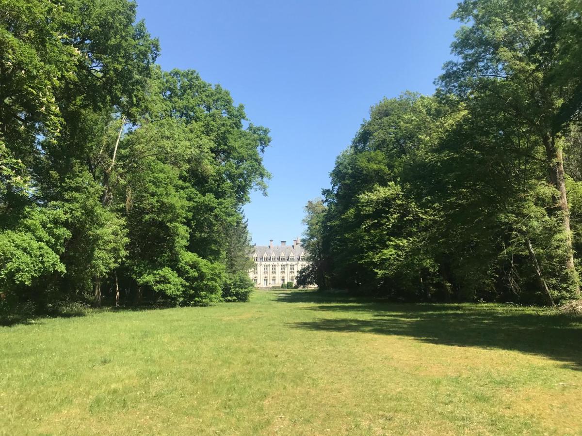 Maison Avec Vue Sur Le Chateau 올리언스 외부 사진